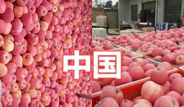 黑色|水果也能“炫富”？日本白色草莓，迪拜黑色西瓜，看到中国：想吃！