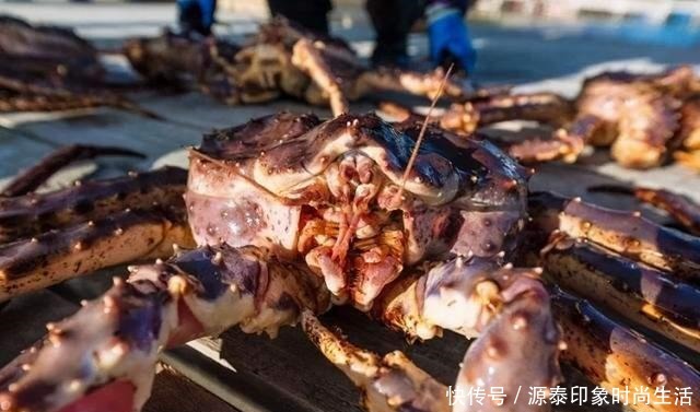 帝王|帝王蟹是螃蟹吗为什么只吃蟹腿,不吃蟹身,我也是刚知道