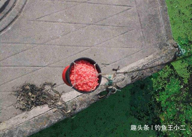 钓鱼打窝天经地义，这三个打窝技巧钓鱼人必备，别让窝料白白浪费