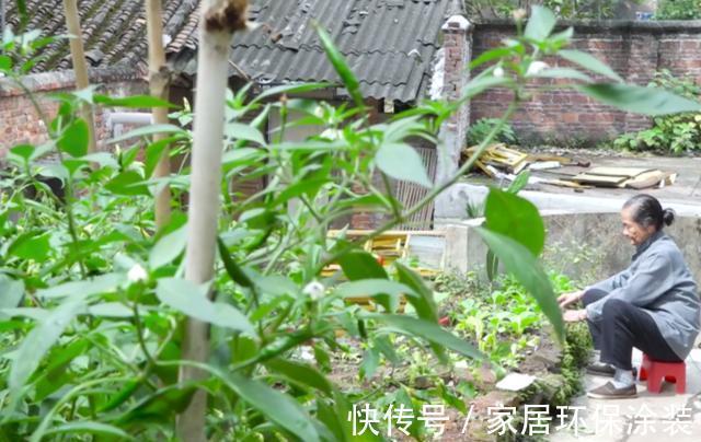 长寿|108岁老人看起来80岁,腿脚利索!长寿秘诀有4点,大家都能学会!