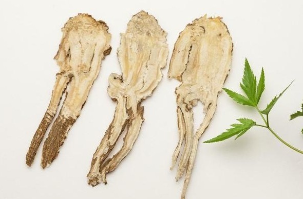 汇总|每天学一味中药汇总高血压、糖尿病、心脏病,中医都有什么药