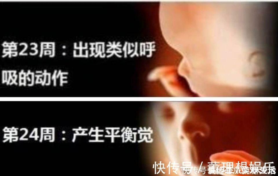 b超|孕期做四维有什么好处,什么时候做最好这个时候做是最好的