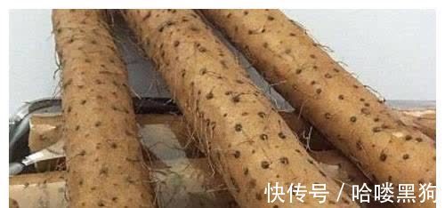 含有|这6类人最适合吃山药,不仅能够防病保健,还能够延年益寿!