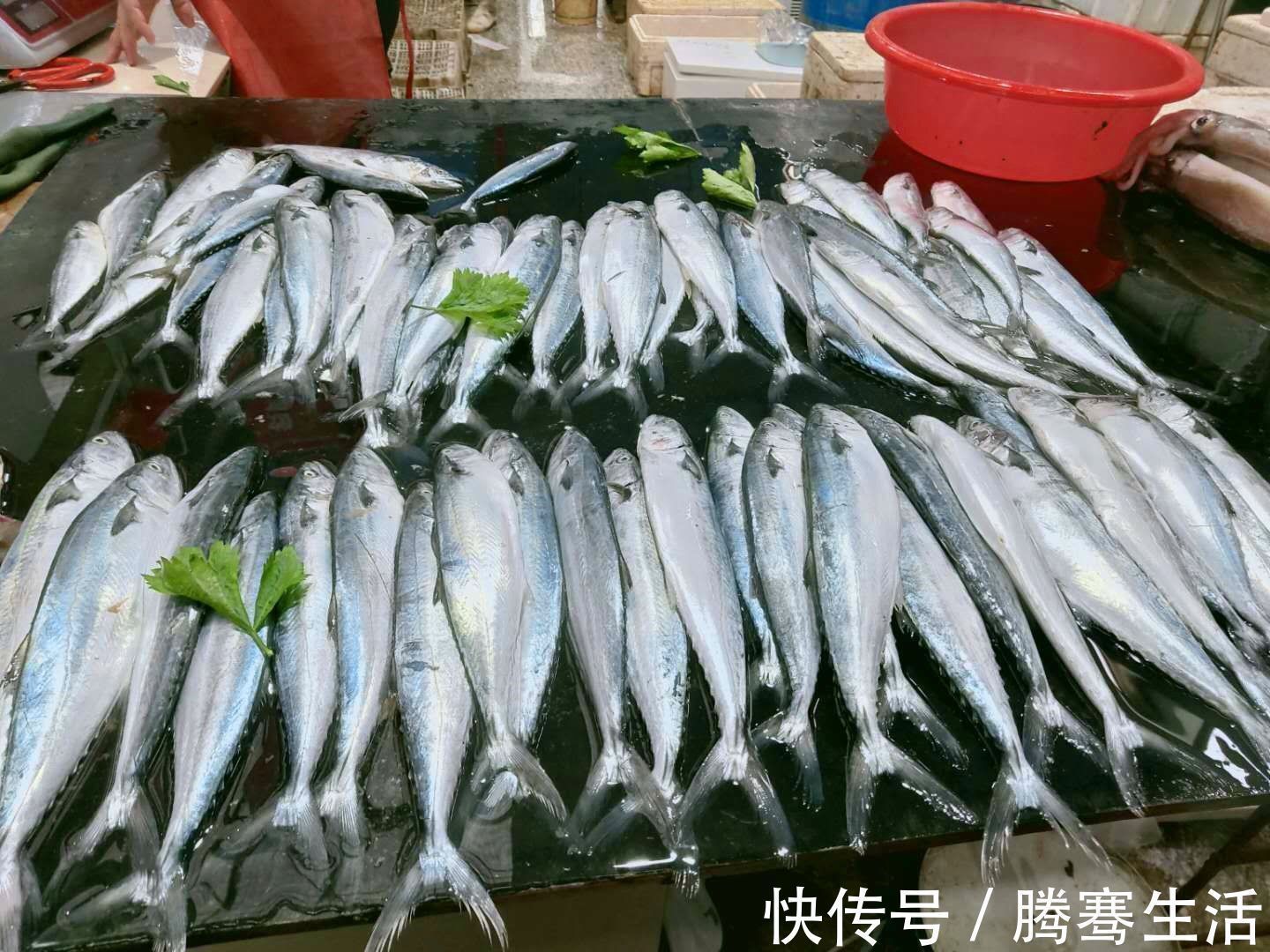 冬天碰到这鱼,我从不还价,目前无法人工养殖,做酱香鱼最美味!