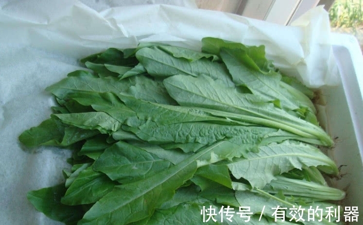 小白|原产自欧美的野菜,在国内被称“百菜之王”,吃它还能降胆固醇