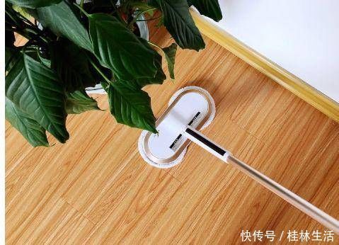 小苏打|清水拖地等于白拖，水里加点“它”，地板干净不沾灰，一看就能学会