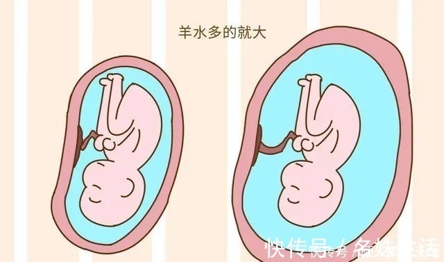 发育|四维彩超单上的三个数据,暗示胎儿发育好不好,孕妈学会看更省心