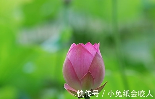 霉运|7月中旬，4属相躲过霉运，桃花不缺，机遇多多，生活顶呱呱