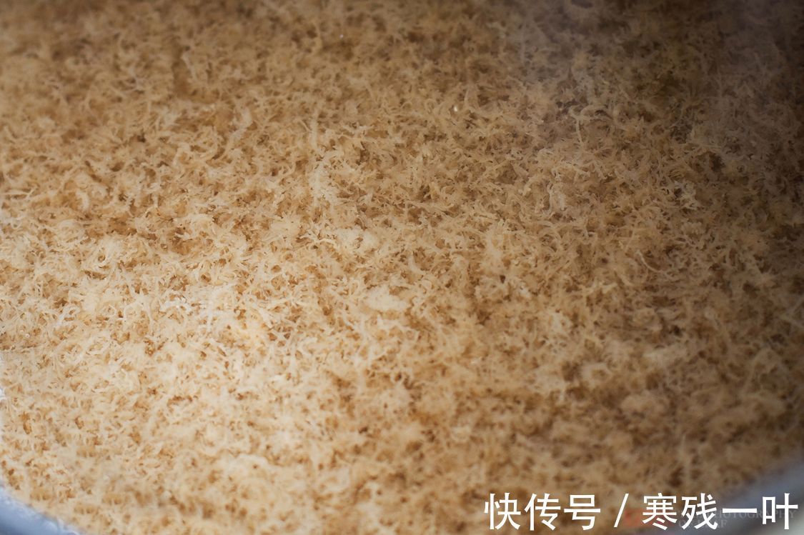 海礁石|浙江沿海有种美食“海燕窝”,过去1毛一斤现在卖500,有人说不贵