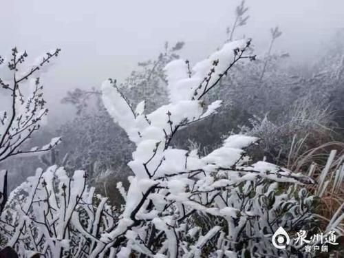 迎来|-2℃！九仙山迎来今冬首场雨雾凇！