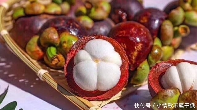 果农|买山竹,不管大小就挑“母”的,果农记住这4点,一挑一个准