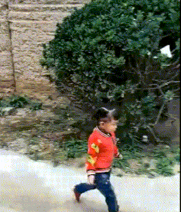 |【搞笑动态图】这就是你装13的下场