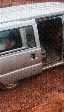 |搞笑GIF:今天运气挺好, 走着走着就捡到一个媳妇