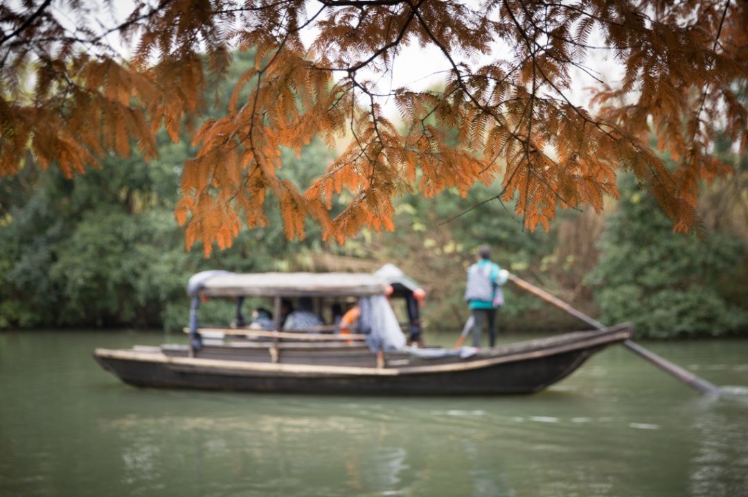 真想约一次“芦荡唱晚”常来常熟，流连撩人风景