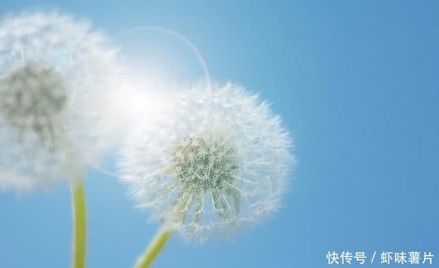  找到|尿酸对手找到了，每天喝点，痛风或许不来“敲门”，早知道早受益