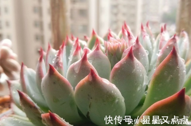 根系|5个养花好习惯，学会了，啥花都能养爆盆！5个养花好习惯，学会了，啥花都能养爆盆！