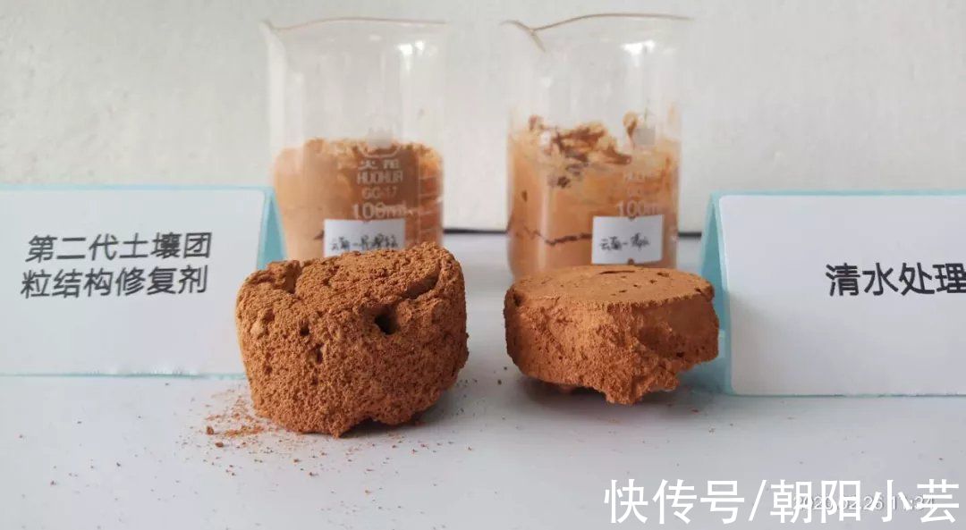 夢想改造家132萬紅磚房開始返堿！專家：只影響外觀，不影響質量