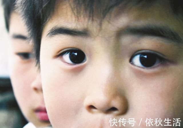 李玫瑾|李玫瑾：孩子是不是“学习的料”，一眼就能看出，3个特质藏不住
