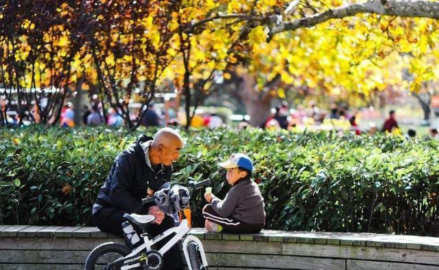 宝妈|有老人带娃和没老人带娃的家庭,有什么不同呢?