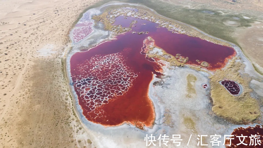 沙漠|除了黄沙漫天，腾格里的沙漠里还能干什么？