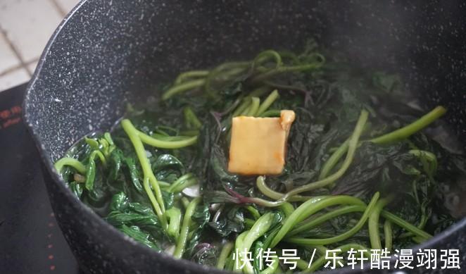 刮油菜|真正的“刮油菜”发现了,隔三差五吃,刮油减脂,好吃不怕胖