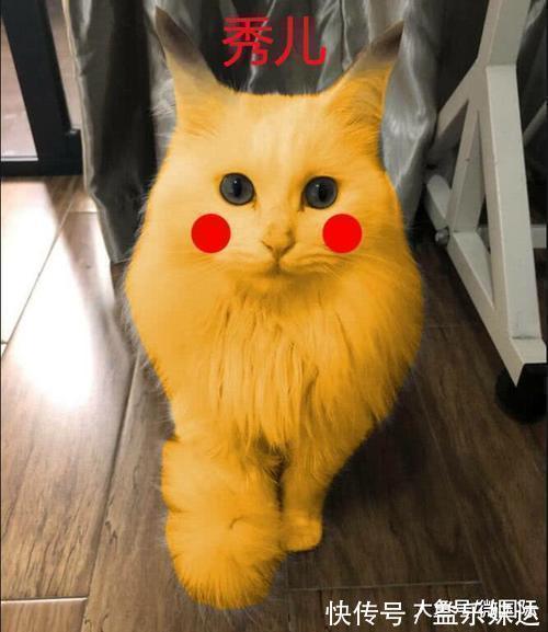 普通人|同样是“画比卡丘”,普通人VS美术生,看到秀儿,没忍住笑