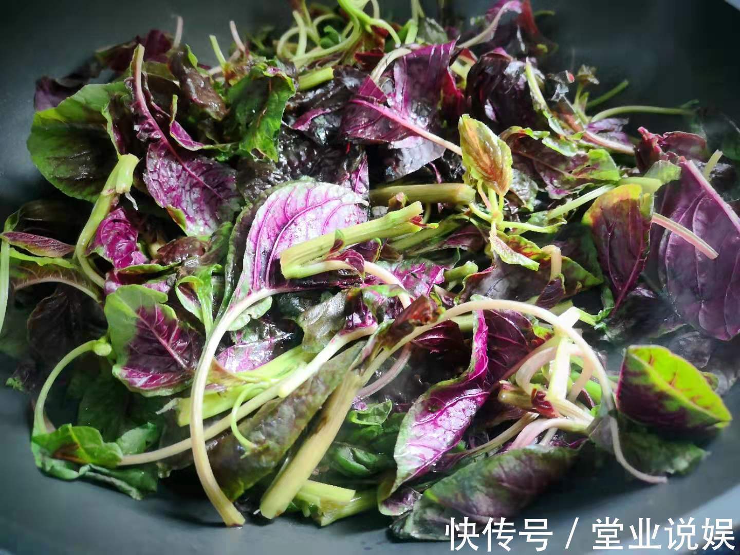 夏天|这菜可真是“一宝”，夏天吃最好，清热解暑，利尿除湿，不吃可惜