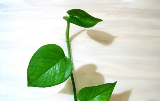 通风换气|3种家装材料含大量甲醛,或许就在你的卧室,80%的人不知道