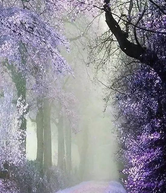 传来|太美了,世界照片今天终于传来,罕见至极,一睹为快