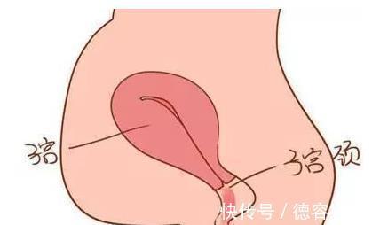 胎盘|如果孕期发现这5种异常出血情况,立刻去医院!