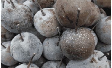 杨梅|这五种冰冻的水果,土豪都不一定全部吃过,比冰淇淋还好吃