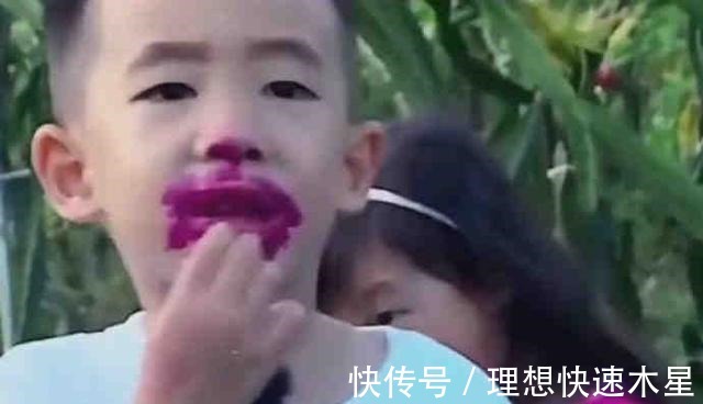 j陈小春是吃了火龙果的Jasper