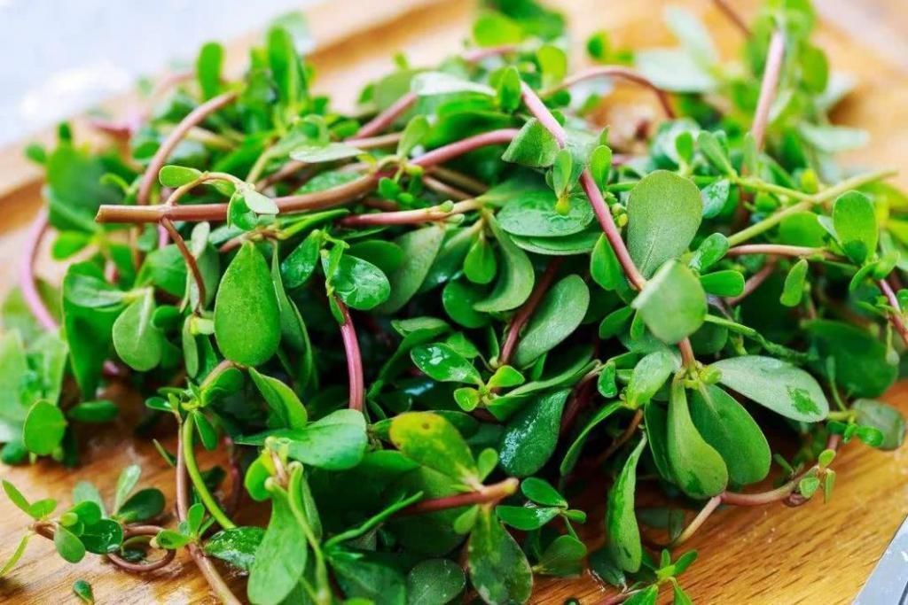 祛湿“最猛”的，不是拔罐，而是4件小事，若你坚持，湿气会绕行