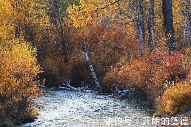 三森|晚秋夜月也生寒，淡酒三杯拒冷残。霜又降、人人把住此玄关