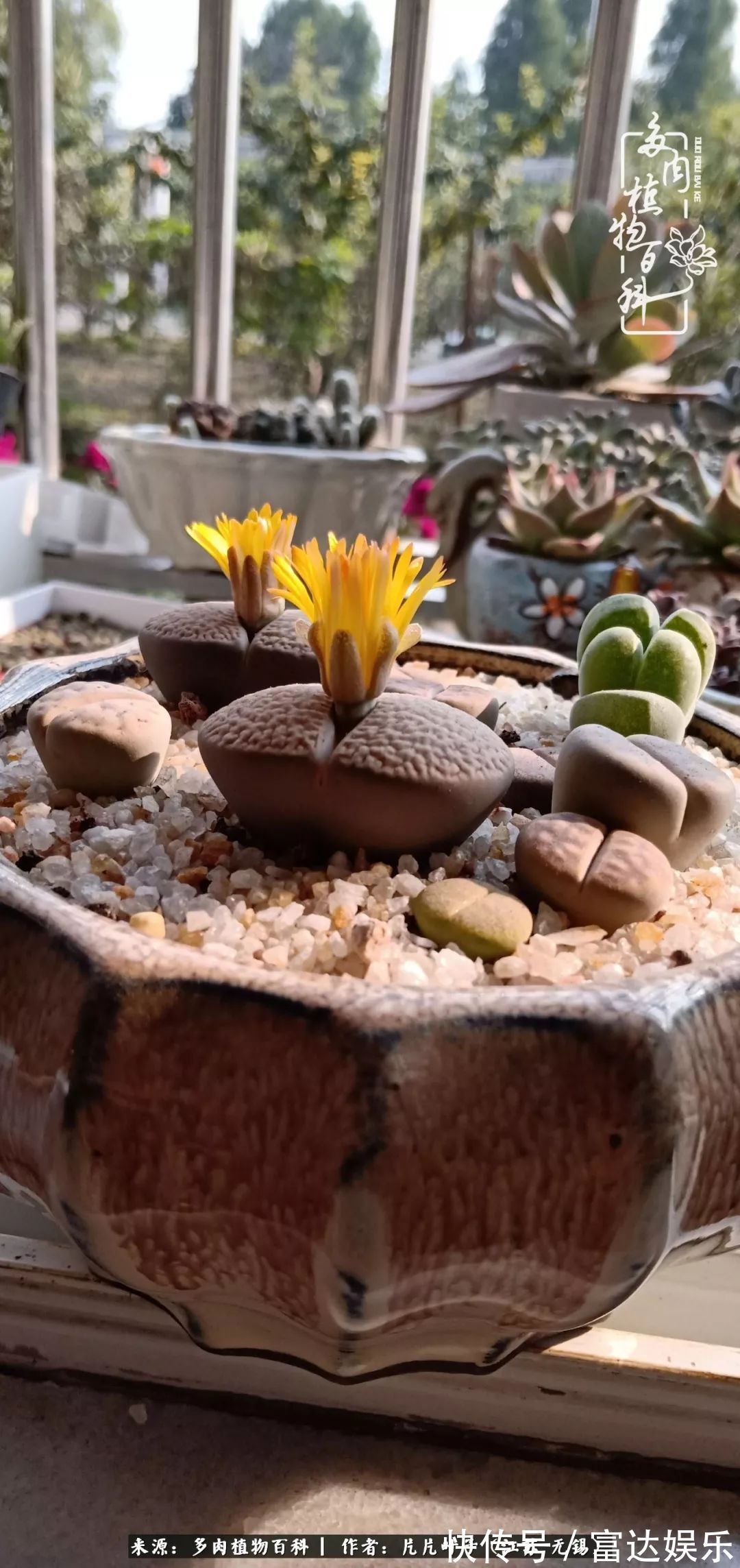 养肉路上，累并快乐着！时光不语，静待花开！