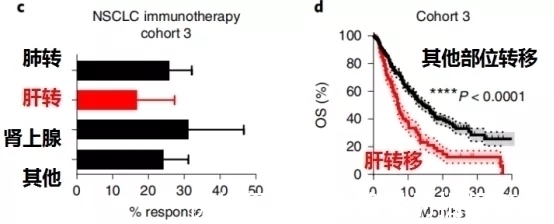 肝转移|让肺癌治疗失效的元凶竟然是它!逆转方法如此简单—抗癌管家