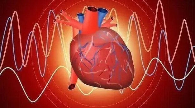 血液|你的心脏还能跳多久？