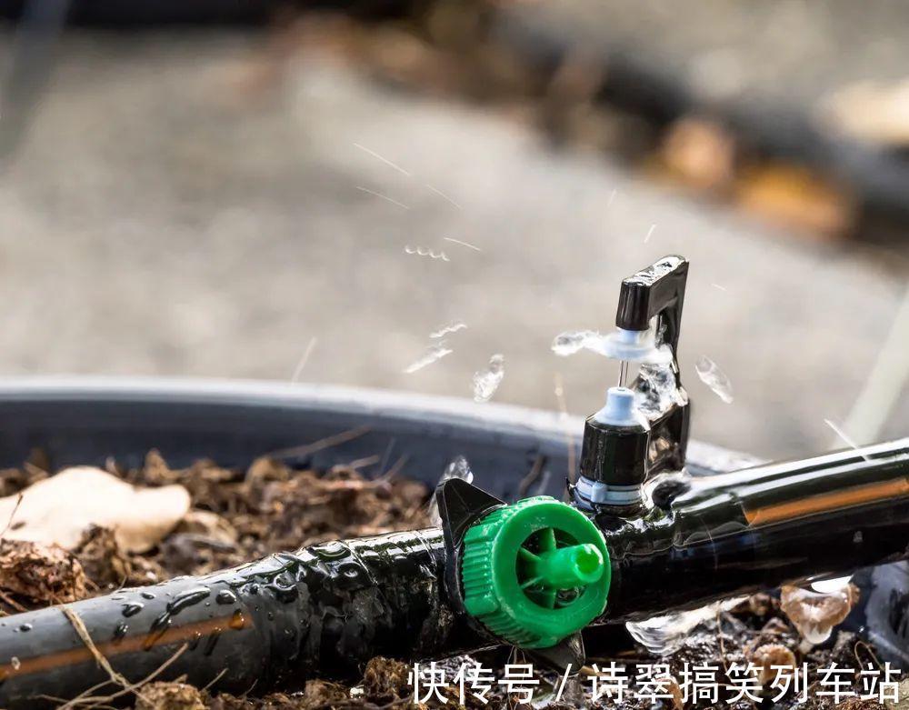 阳台党的烦恼，没有院子，只能挖空心思养花