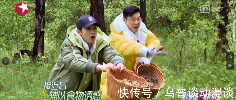 桦树皮|《极限挑战宝藏行2》：绿水青山就是金山银山