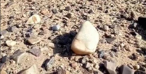  玫瑰|为何在沙漠看到“石头”要捡，有啥猫腻驴友错过就没机会了