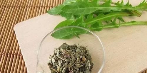 养生|提醒大家:自己晒干的蒲公英,能用来养生当茶喝吗?很多人都错了