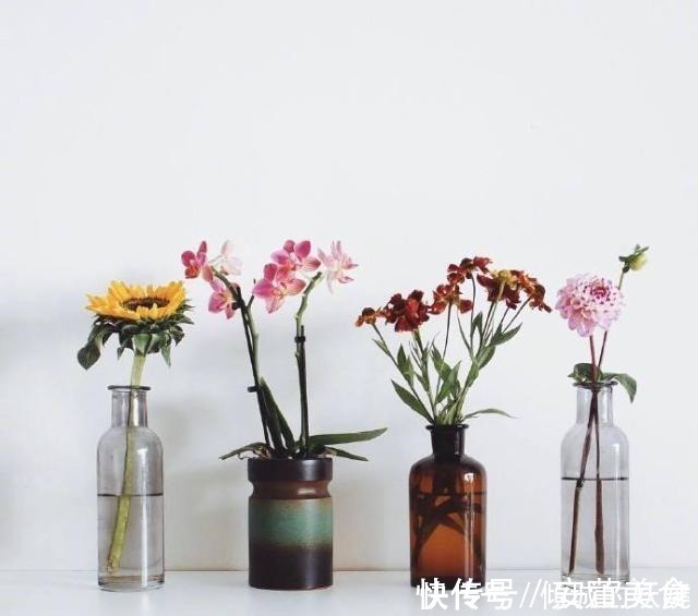 一段话|读懂受益终生的一段话,精辟睿智,值得深思!