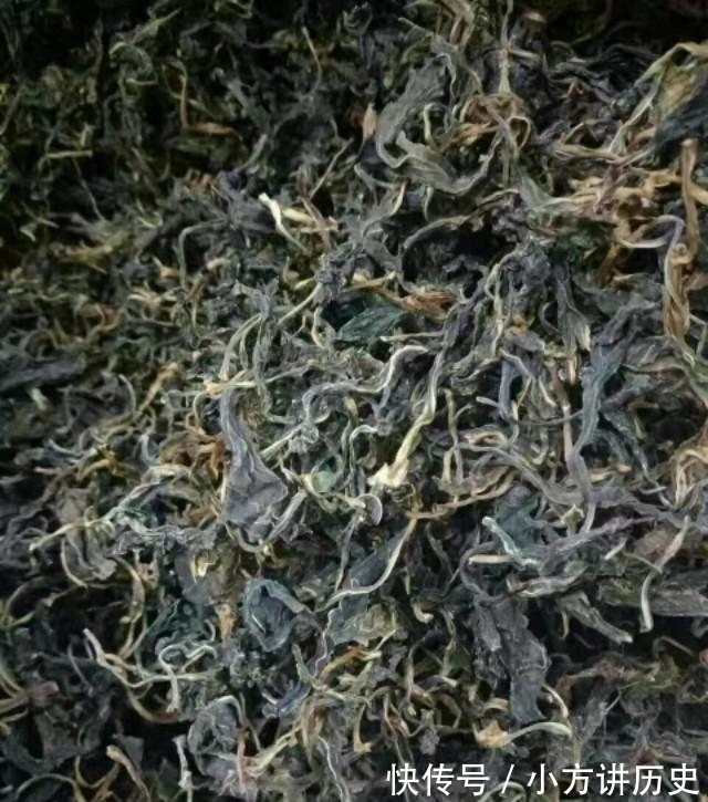 清热解毒|农村有种野菜,闻着臭吃着香,清热解毒还降火