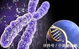 致畸因素|发育中的胎儿最怕这九大致畸因素,孕妈需远离!