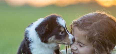 孩子有5个优秀品质，将来大有出息，你家孩子占几个？