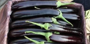 胶带|告诫大家:白送都不要的3种蔬菜,一定少食用,别因贪吃闯下大祸