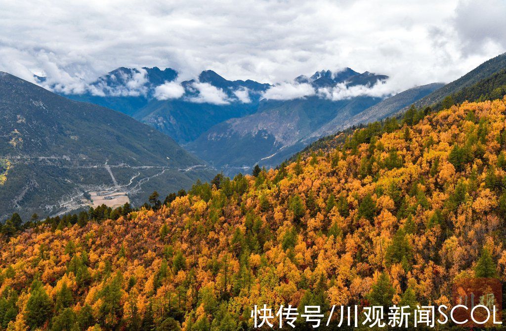 俄初山|视频｜重阳登高 遇见稻城俄初山秋色