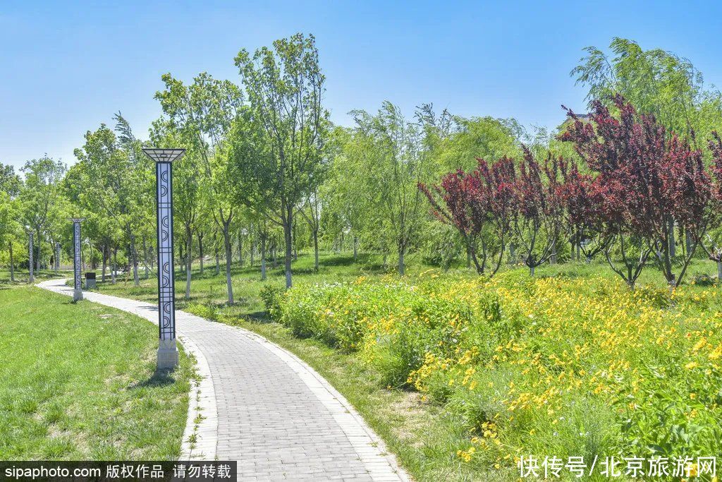 小北|坐不住了！北京这个免费“网红”公园里，不仅藏着超大足球篮球场，还有这些！