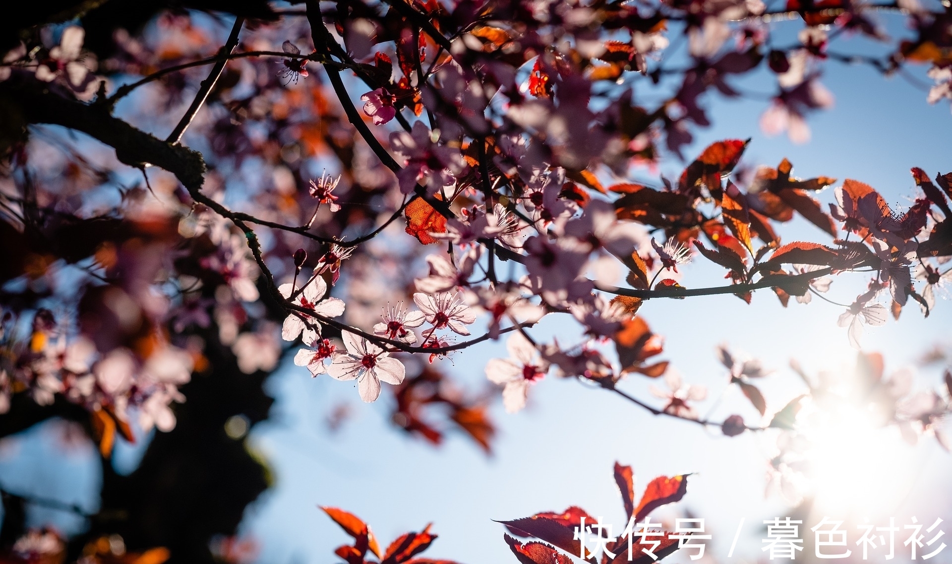 虎年|2月5日时来运转，2022年虎年风生水起的生肖