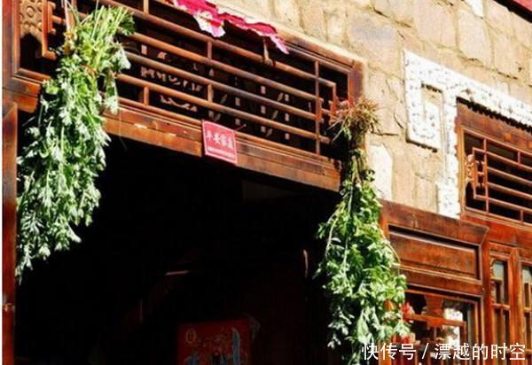 野地|野地一种杂草,拔了煮鸡蛋,还能泡脚气,蚊子绕着跑,见了别错过